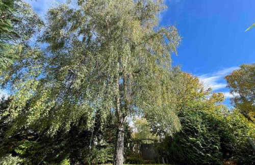 Edge view, outdoor adventure focused cottage, sleeps 8 - Foto 4