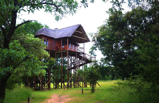 Pezulu Tree House Lodge - Foto 40