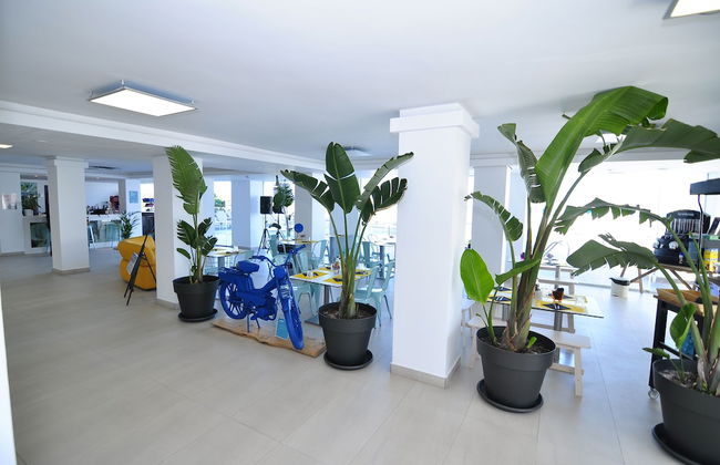 Apartamentos Typic Marina Playa - Adults Only - Foto 9