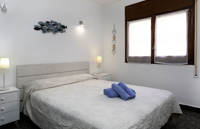 Paloma 2/3 - Foto 13