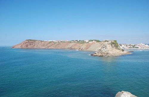 Laranjeira - House with private garden and pool - Foto 7