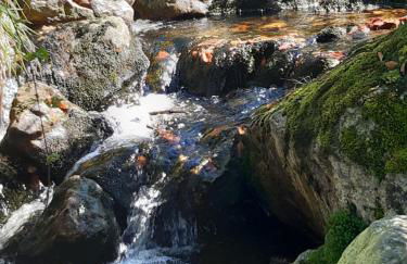 AnNo - Wohlfühlen am Bachal in Altschönau - Foto 36