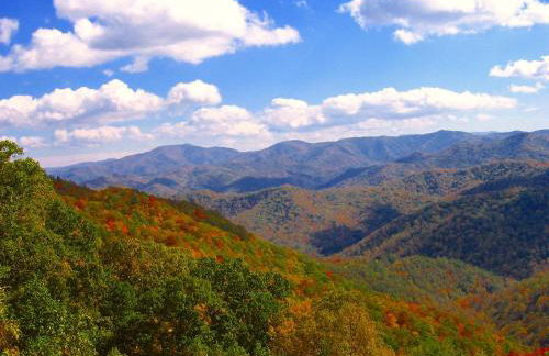 The Owl's Perch - Foto 32