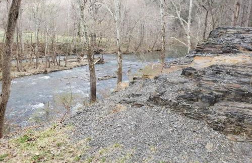 Jackson River Estate Cozy Cottage on the River - Foto 27