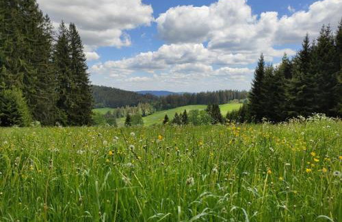 Biobetrieb Lippenhof - Photo 23