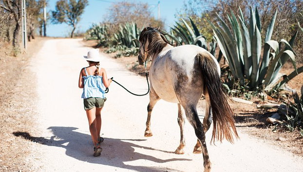 Santuario de Caballos: Un paseo por la naturaleza con Caballos Rescatados a tu lado - Foto 4