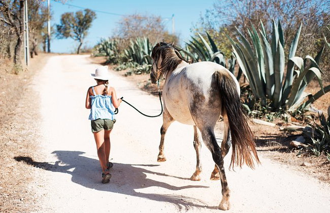 Santuario de Caballos: Un paseo por la naturaleza con Caballos Rescatados a tu lado - Foto 4