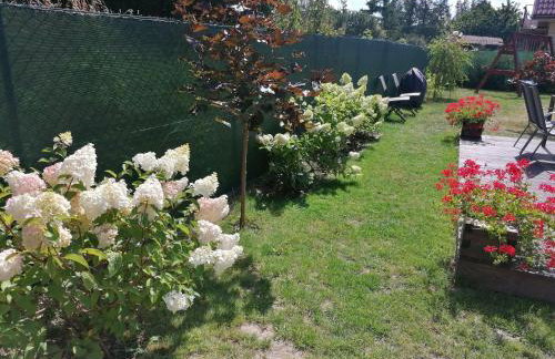 Osada Natura - Photo 114