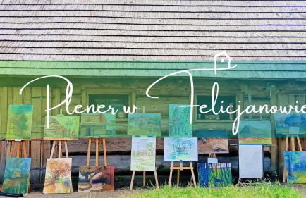 Gniazdo w Felicjanowie - Foto 14