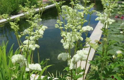 Gîte du Pradel - Foto 22