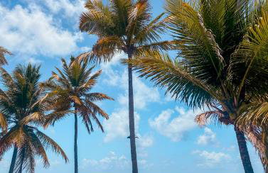 Villa Naluri - Casa Yodo - Apartamento 1 quarto em Japaratinga - Foto 60