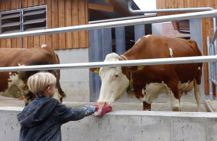 Ferienbauernhof Storchenhäusle - Foto 35