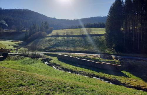 Ferienwohnung Sprauer - Photo 21