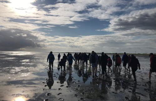 Feriendomizil Dornum Haus Willy mit Wintergarten und Wallbox - Foto 39