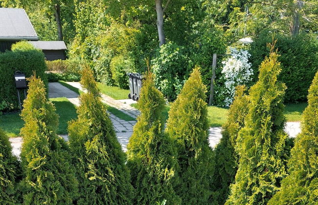 6 Person Holiday Home in Hornbaek - Foto 32