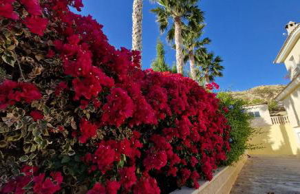 Casa Gran Mirador - Ruime vakantie villa met groot privé zwembad 8-14 pers - Foto 13