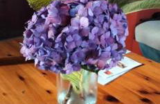 Mar de flores - Foto 13