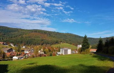Ferienwohnung "Hirschlein" im Schwarzwald - Foto 33