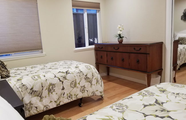 Juniper Berry - Foto 7