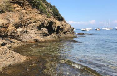Il PolpoLeo in Porto Azzurro Isola d'Elba - Foto 71