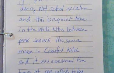 FC44 Renovated 3bed 3bath Forest Cottage AC views yard fast wifi Walk to skiing - Foto 42