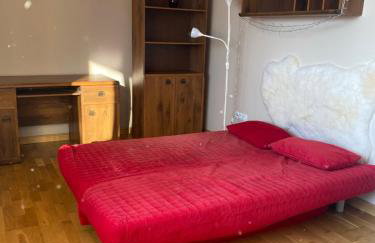 Apartament w górach Gorce - Foto 7