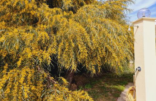 Villa Bulcrini - Photo 53