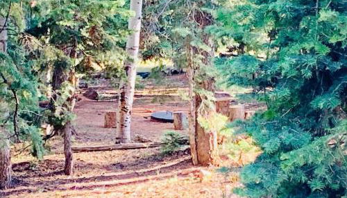 Adventure Awaits 3King Bed,2Bath Log Cabin in heart of Duck Creek Village! - Foto 5