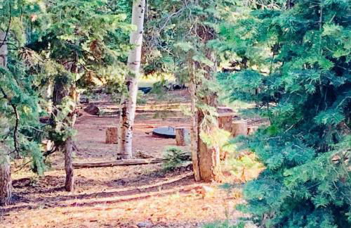 Adventure Awaits 3King Bed,2Bath Log Cabin in heart of Duck Creek Village! - Foto 5