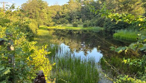 Riptide Cottage Adorable Yr Round Cottage in Bradford - Foto 5