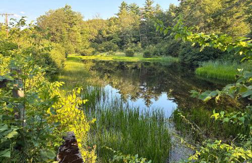 Riptide Cottage Adorable Yr Round Cottage in Bradford - Foto 5