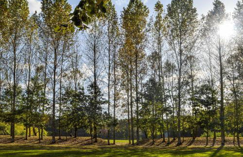 Deer Cottage 1 Uk39330 - Foto 4