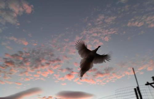 Agriturismo Podere Asche - Photo 18