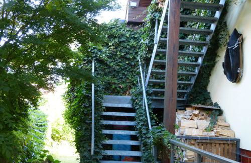 Seeadler - Ferienwohnung - Foto 9