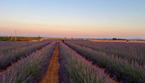 Provence Sweet Home - Foto 2