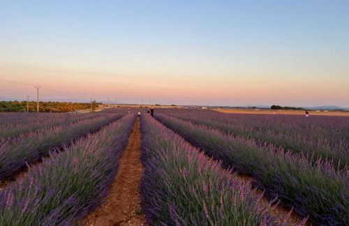 Provence Sweet Home - Foto 2