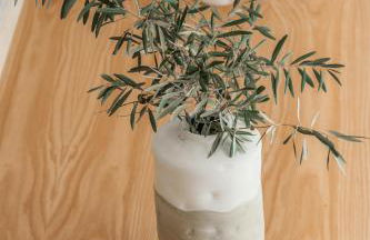 Casa das Marucas - Foto 33