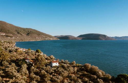 Traditional Stone House in Seafront Olive Grove A - Photo 16