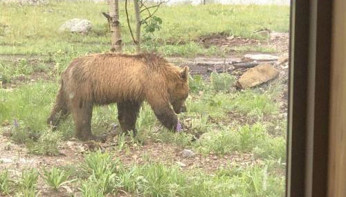 Glacier Quarry-A Villa Surrounded by the Rockies Part of the Glacier Ridge Vacation Rental Collection - Foto 3