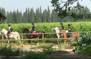 Domus Cariana - Foto 45