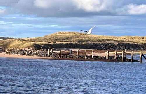 Amazing sea views and hot tub - Photo 39