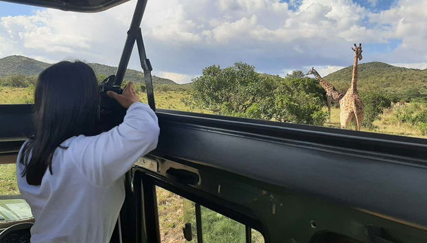 Safari privado de 2 días por Masái Mara - Foto 3, Fotografiando a las jirafas