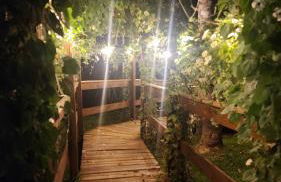 Linda Cabana com Vista Incrível nas Montanhas com Trilha, Cachoeira e Alexa - Photo 26