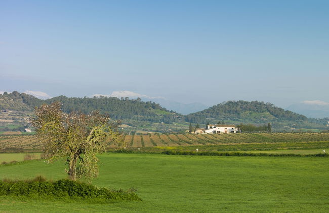 Agroturisme Gossalba - Photo 39