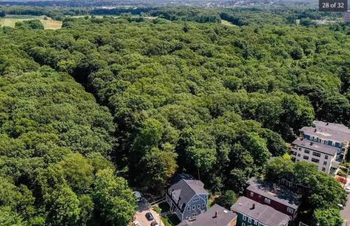 Park-Side Home in Jamaica Plain - Foto 6