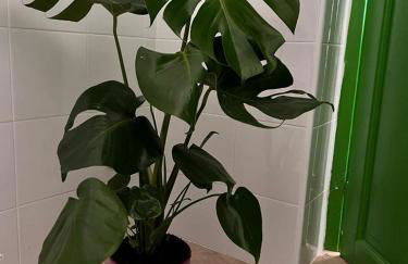 Casa laggiù - Foto 52