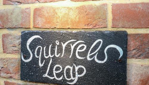Squirrel's Leap - Photo 3