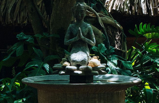 Surf N Sun - Foto 37