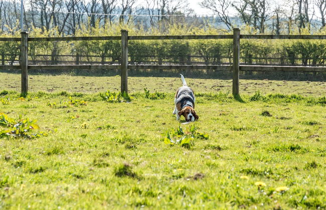Primrose - 1 Bedroom Cottage - Llanteg - Foto 29