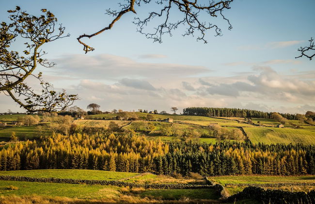 Swinton Bivouac - Photo 38